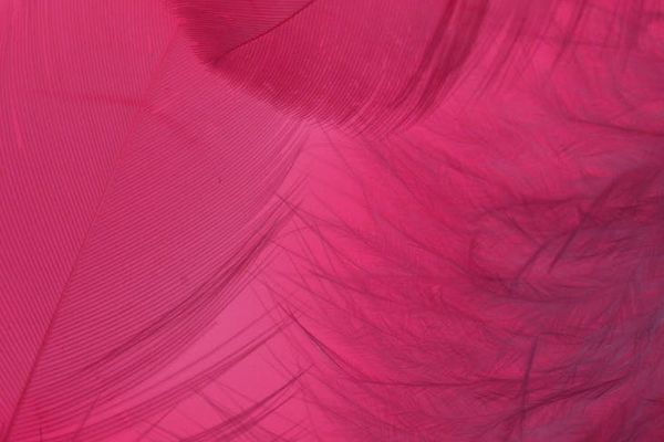 Abstract decorative element with smooth circles and soft lines in pastel pink.